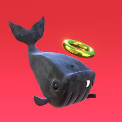 Whale #560